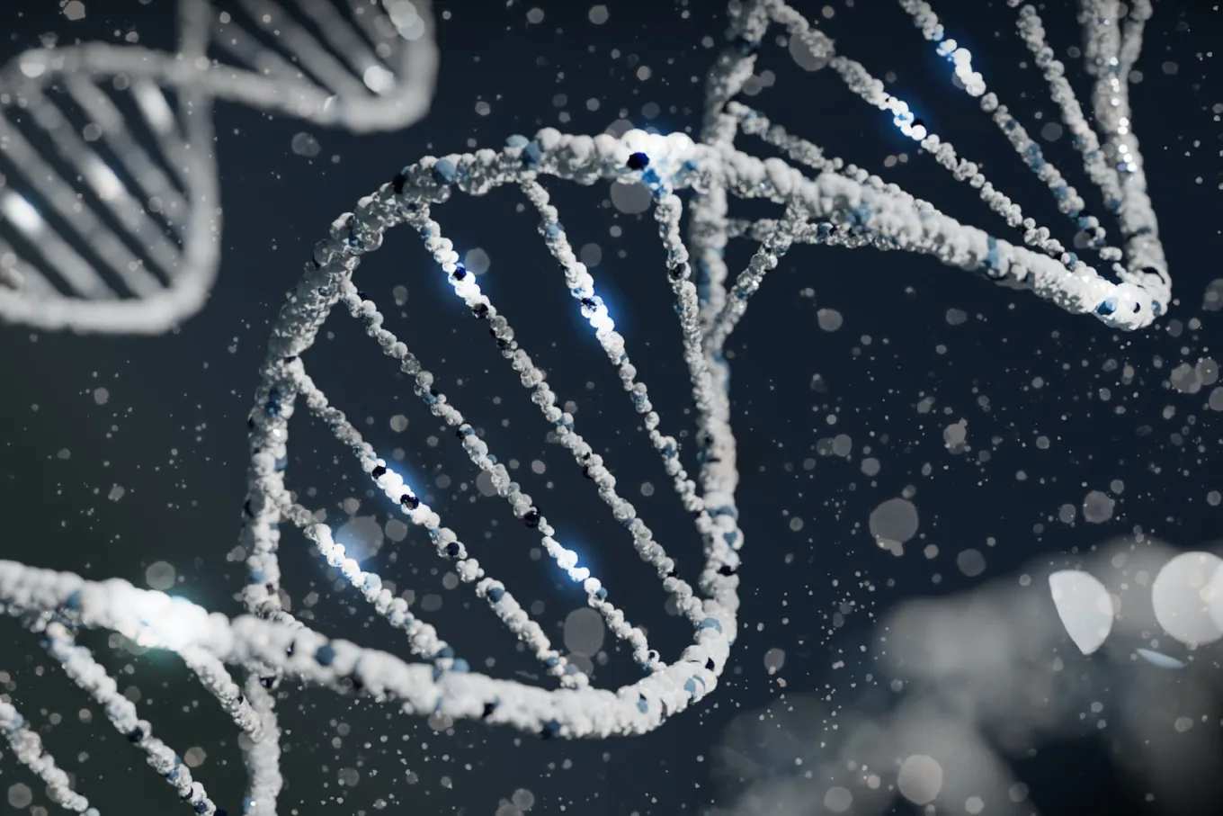 Cancer subtype classification with sparse dimensionality reduction methods project preview